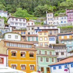 Alzheimers: Look After Yourself – Learn a Second Language and Protect Yourself From Brain Decay